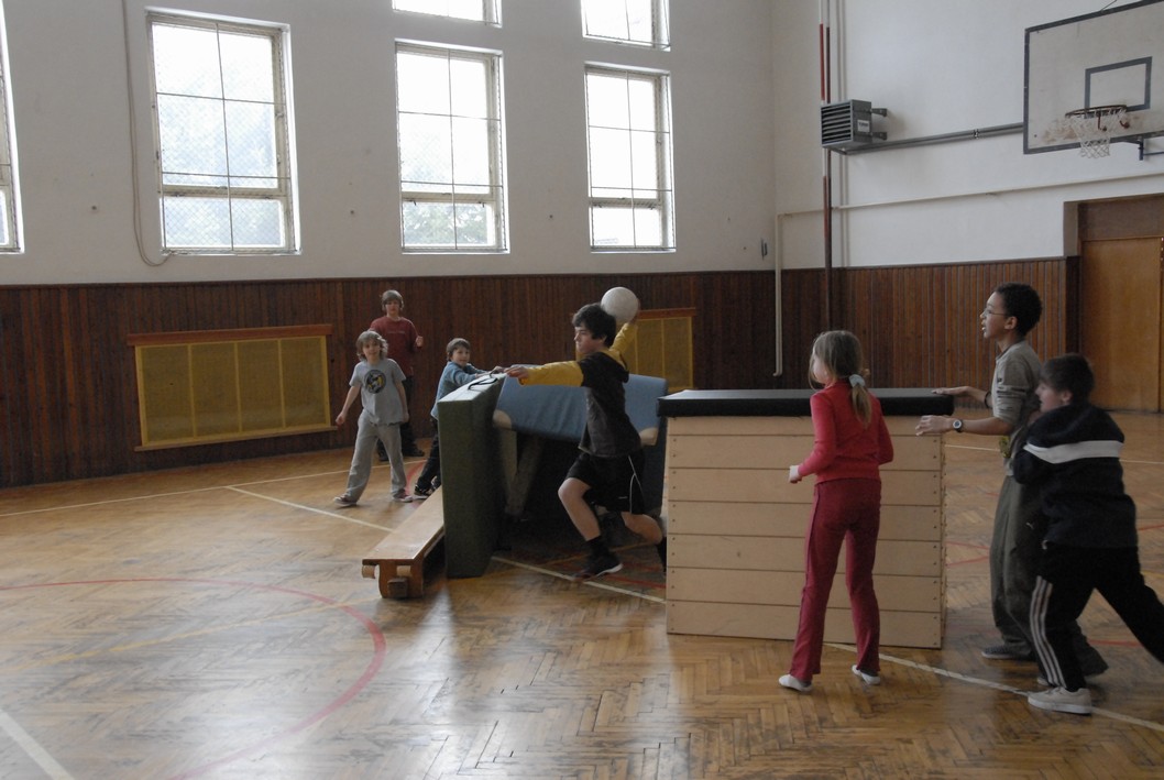 016 Expedice GEMINI 2010